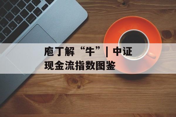 庖丁解“牛”| 中证现金流指数图鉴-第1张图片-
