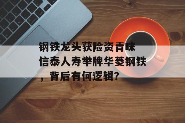 钢铁龙头获险资青睐 信泰人寿举牌华菱钢铁，背后有何逻辑？-第1张图片-