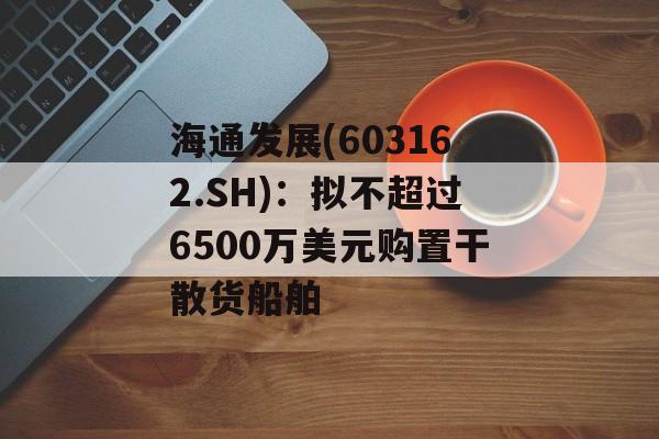 海通发展(603162.SH)：拟不超过6500万美元购置干散货船舶-第1张图片-