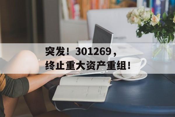 突发！301269，终止重大资产重组！-第1张图片-