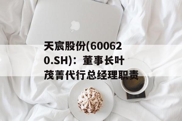 天宸股份(600620.SH)：董事长叶茂菁代行总经理职责-第1张图片-