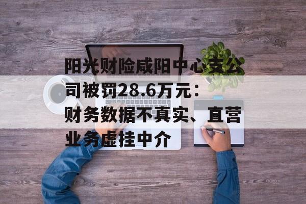 阳光财险咸阳中心支公司被罚28.6万元：财务数据不真实、直营业务虚挂中介-第1张图片-