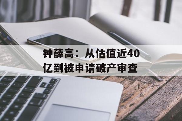 钟薛高：从估值近40亿到被申请破产审查-第1张图片-
