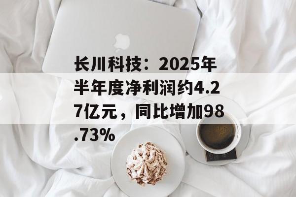 长川科技：2025年半年度净利润约4.27亿元，同比增加98.73%-第1张图片-
