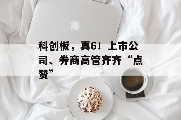 科创板，真6！上市公司、券商高管齐齐“点赞”-第1张图片-