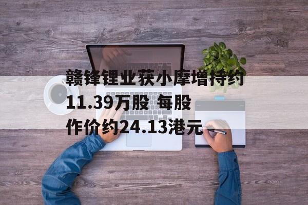 赣锋锂业获小摩增持约11.39万股 每股作价约24.13港元-第1张图片-