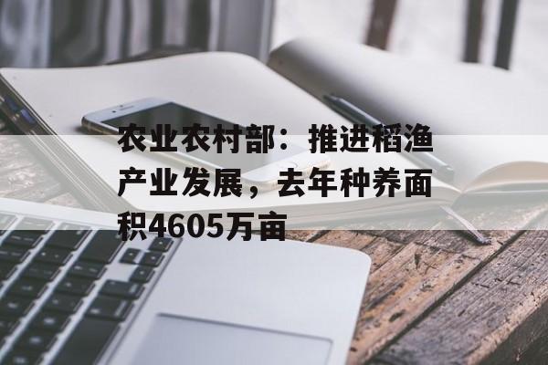 农业农村部：推进稻渔产业发展，去年种养面积4605万亩-第1张图片-