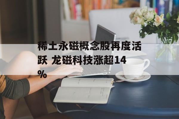 稀土永磁概念股再度活跃 龙磁科技涨超14%-第1张图片-
