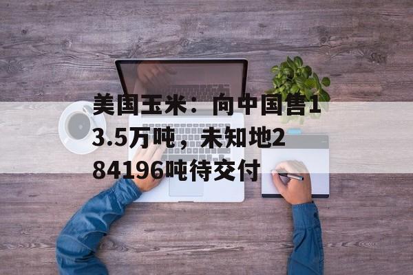美国玉米：向中国售13.5万吨，未知地284196吨待交付-第1张图片-