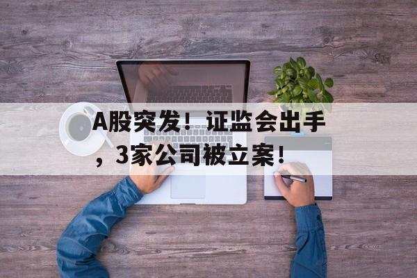 A股突发！证监会出手，3家公司被立案！-第1张图片-