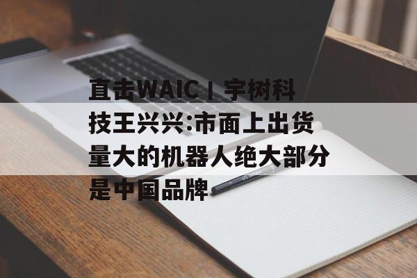 直击WAIC丨宇树科技王兴兴:市面上出货量大的机器人绝大部分是中国品牌-第1张图片-