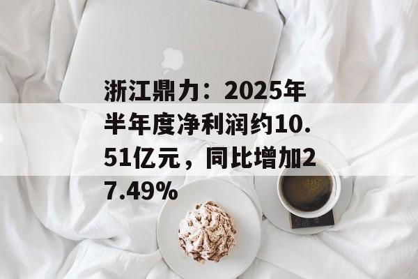 浙江鼎力：2025年半年度净利润约10.51亿元，同比增加27.49%-第1张图片-