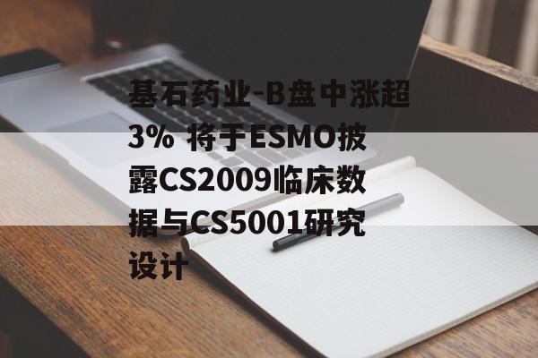 基石药业-B盘中涨超3% 将于ESMO披露CS2009临床数据与CS5001研究设计-第1张图片-