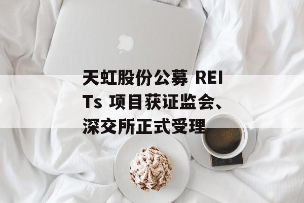 天虹股份公募 REITs 项目获证监会、深交所正式受理-第1张图片-