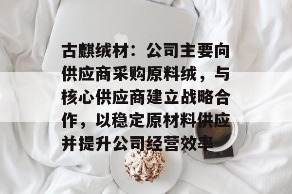 古麒绒材：公司主要向供应商采购原料绒，与核心供应商建立战略合作，以稳定原材料供应并提升公司经营效率-第1张图片-