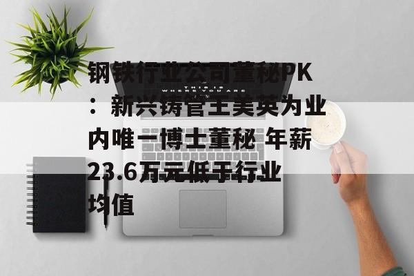 钢铁行业公司董秘PK：新兴铸管王美英为业内唯一博士董秘 年薪23.6万元低于行业均值-第1张图片-
