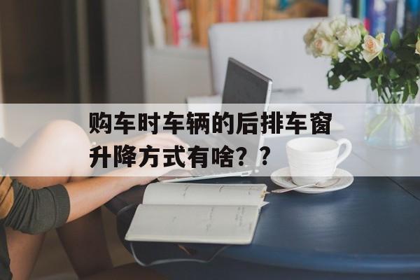 购车时车辆的后排车窗升降方式有啥？?-第1张图片-