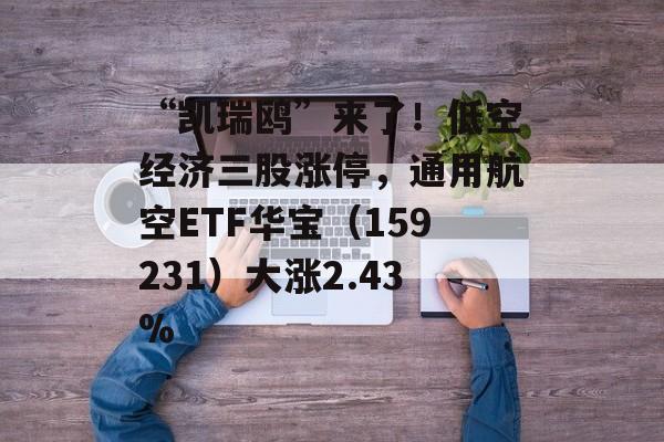 “凯瑞鸥”来了！低空经济三股涨停，通用航空ETF华宝（159231）大涨2.43%-第1张图片-