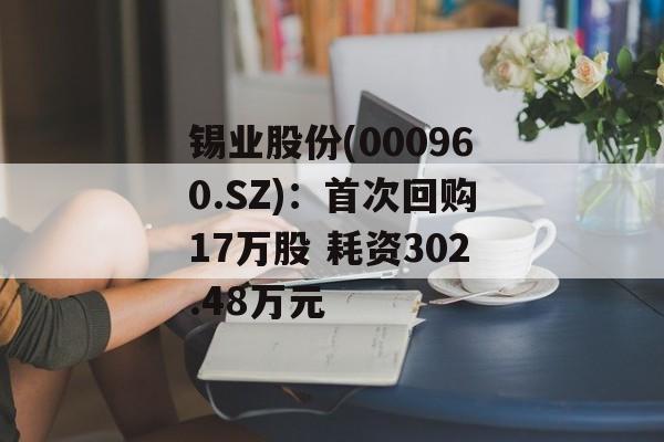 锡业股份(000960.SZ)：首次回购17万股 耗资302.48万元-第1张图片-