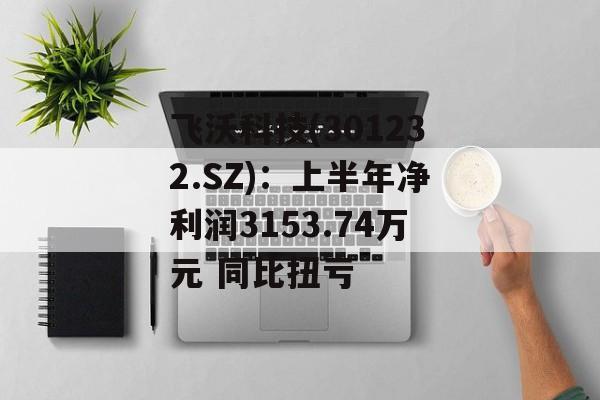 飞沃科技(301232.SZ)：上半年净利润3153.74万元 同比扭亏-第1张图片-