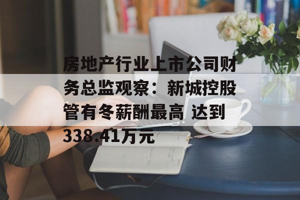 房地产行业上市公司财务总监观察：新城控股管有冬薪酬最高 达到338.41万元-第1张图片-