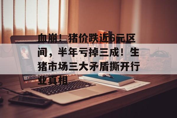 血崩！猪价跌近6元区间，半年亏掉三成！生猪市场三大矛盾撕开行业真相-第1张图片-