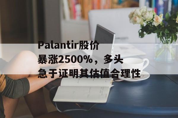 Palantir股价暴涨2500%，多头急于证明其估值合理性-第1张图片-