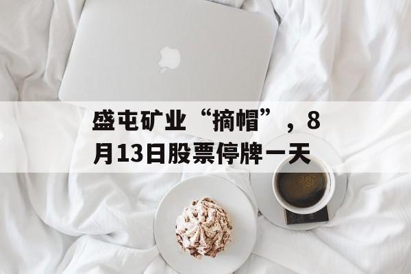 盛屯矿业“摘帽”，8月13日股票停牌一天-第1张图片-