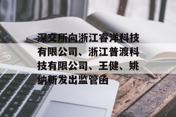 深交所向浙江睿洋科技有限公司、浙江普渡科技有限公司、王健、姚纳新发出监管函-第1张图片-