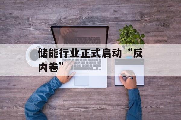储能行业正式启动“反内卷”-第1张图片-