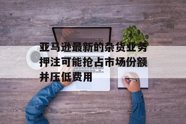 亚马逊最新的杂货业务押注可能抢占市场份额并压低费用-第1张图片-