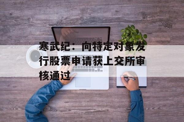 寒武纪：向特定对象发行股票申请获上交所审核通过-第1张图片-