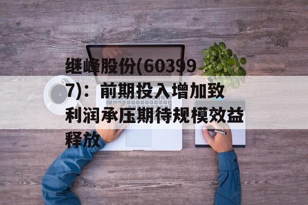 继峰股份(603997)：前期投入增加致利润承压期待规模效益释放-第1张图片-