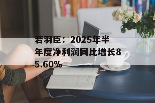 若羽臣：2025年半年度净利润同比增长85.60%-第1张图片-