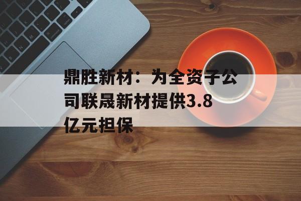 鼎胜新材：为全资子公司联晟新材提供3.8亿元担保-第1张图片-