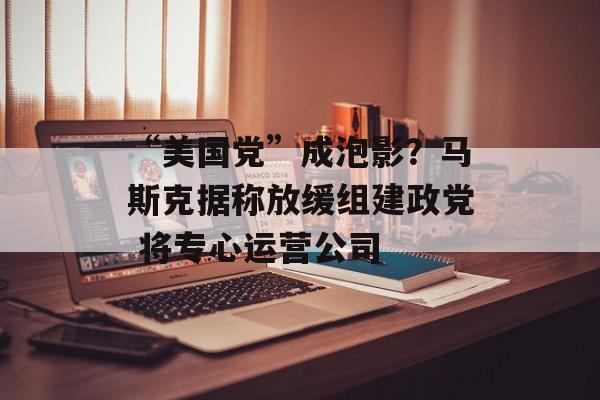 “美国党”成泡影？马斯克据称放缓组建政党 将专心运营公司-第1张图片-