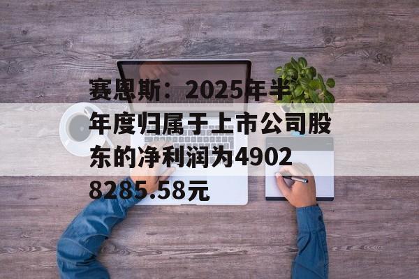 赛恩斯：2025年半年度归属于上市公司股东的净利润为49028285.58元-第1张图片-