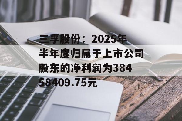 三孚股份：2025年半年度归属于上市公司股东的净利润为38458409.75元-第1张图片-