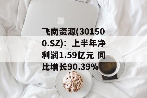 飞南资源(301500.SZ)：上半年净利润1.59亿元 同比增长90.39%-第1张图片-