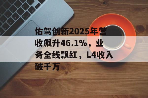 佑驾创新2025年营收飙升46.1%，业务全线飘红，L4收入破千万-第1张图片-