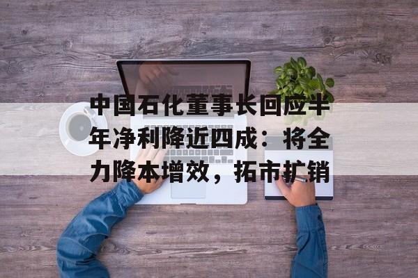 中国石化董事长回应半年净利降近四成：将全力降本增效，拓市扩销-第1张图片-