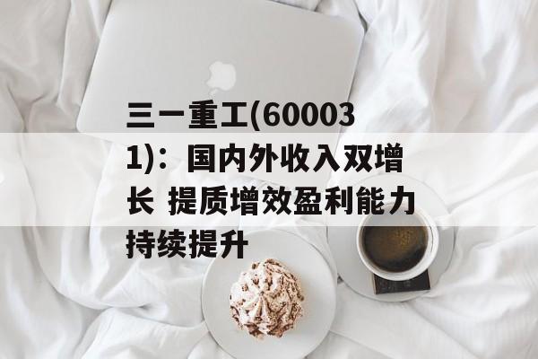 三一重工(600031):国内外收入双增长 提质增效盈利能力持续提升-第1张图片- 三一重工(600031):国内外收入双增长 提质增效盈利能力持续提升-第1张图片-