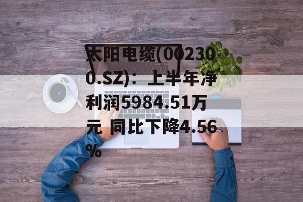 太阳电缆(002300.SZ)：上半年净利润5984.51万元 同比下降4.56%-第1张图片-