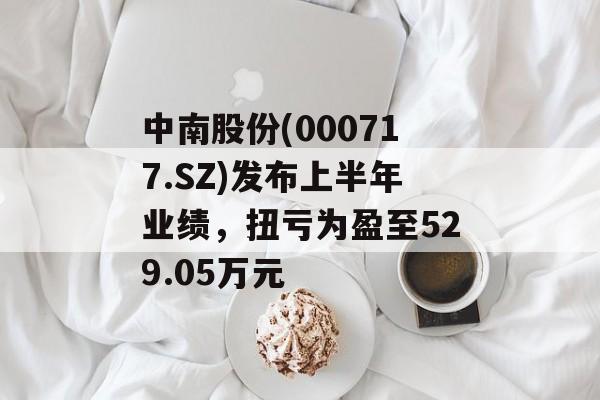 中南股份(000717.SZ)发布上半年业绩，扭亏为盈至529.05万元-第1张图片-
