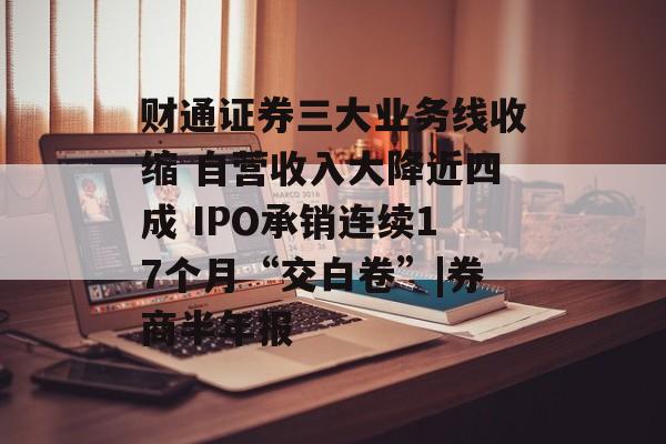 财通证券三大业务线收缩 自营收入大降近四成 IPO承销连续17个月“交白卷”|券商半年报-第1张图片-