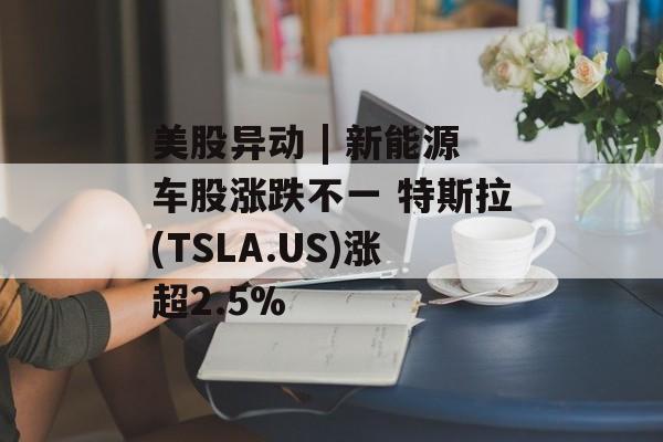 美股异动 | 新能源车股涨跌不一 特斯拉(TSLA.US)涨超2.5%-第1张图片-