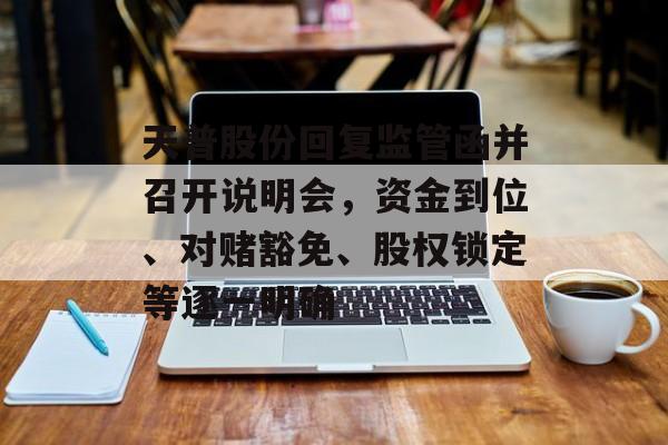 天普股份回复监管函并召开说明会，资金到位、对赌豁免、股权锁定等逐一明确-第1张图片-