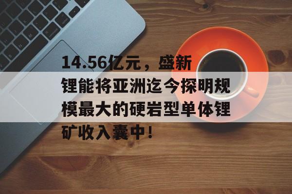 14.56亿元，盛新锂能将亚洲迄今探明规模最大的硬岩型单体锂矿收入囊中！-第1张图片-
