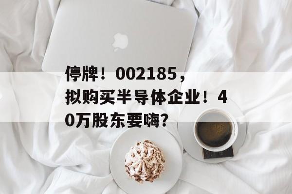 停牌！002185，拟购买半导体企业！40万股东要嗨？-第1张图片-