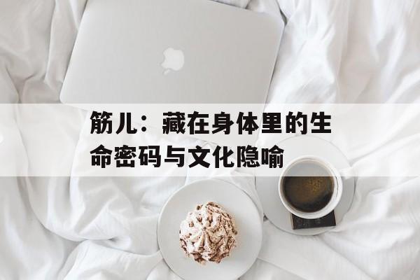 筋儿：藏在身体里的生命密码与文化隐喻-第1张图片-